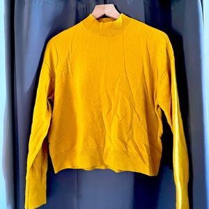 Everlane cashmere mock neck sweater, medium